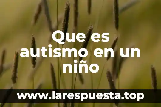 Que es la motricidad gruesa en el niño maternal 3 Que es autismo en un niño