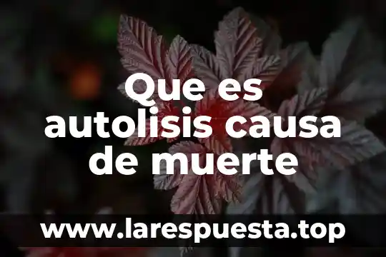 Que es vida desde la muerte 7 Que es autolisis causa de muerte