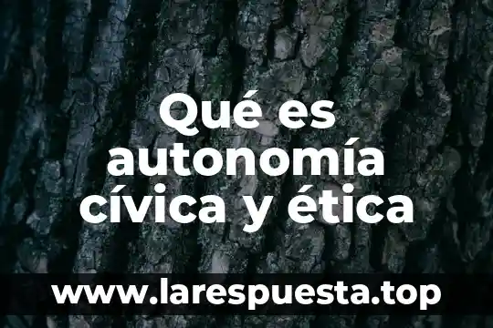 Qué es autonomía cívica y ética