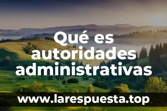 Formas administrativas qué es 4 Qué es autoridades administrativas