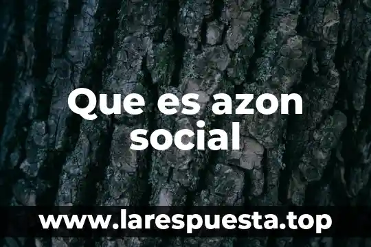 Que es azon social