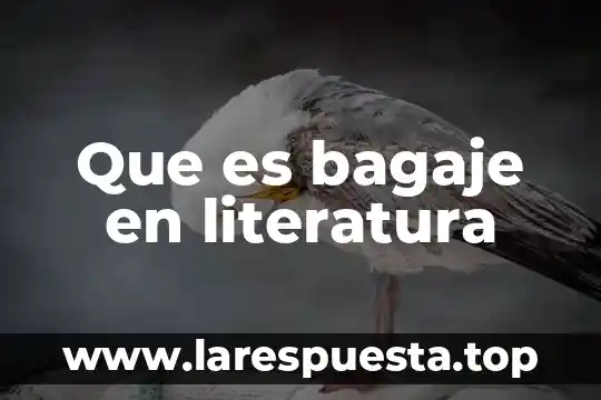 Que es bagaje en literatura