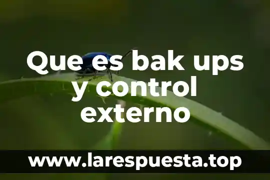 Análisis externo e interno que es 4 Que es bak ups y control externo