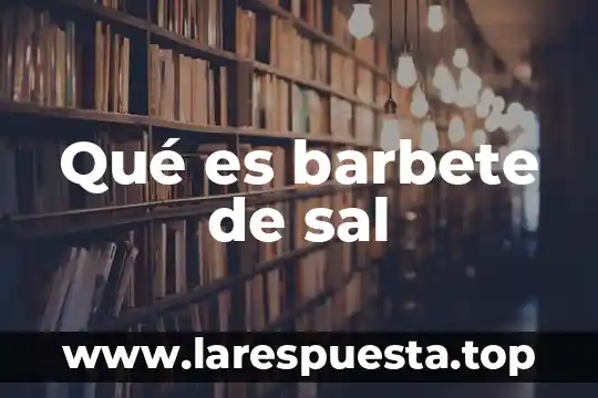 Para que es la sal de uvas 5 Qué es barbete de sal