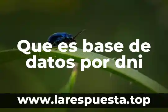 Que es base de datos por dni