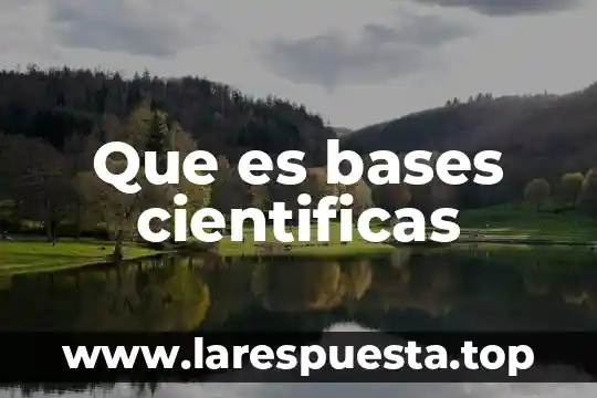Qué es un activo en bases de datos 4 Que es bases cientificas