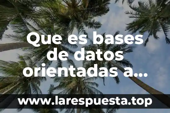 Qué es un activo en bases de datos 8 Que es bases de datos orientadas a objetos