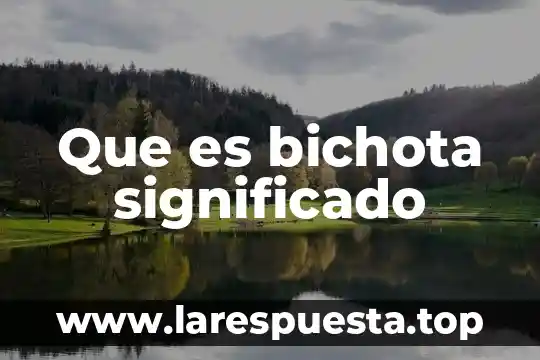 Que es seguidor significado 3 Que es bichota significado