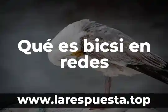 Que es una infraestructura en redes 7 Qué es bicsi en redes