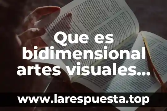 Que es bidimensional artes visuales leccion1