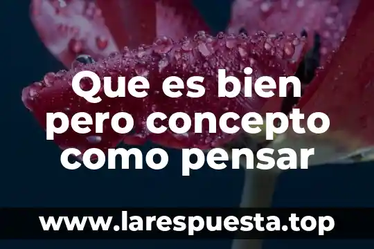 Que es un bien un producto y un servicio 4 Que es bien pero concepto como pensar