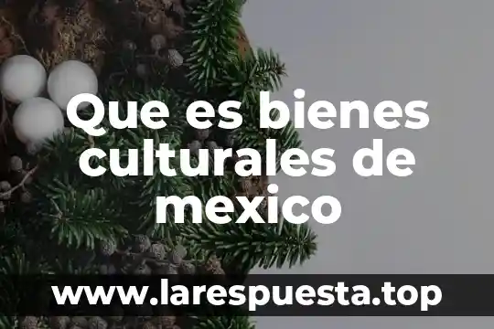 Que es bienes culturales de mexico