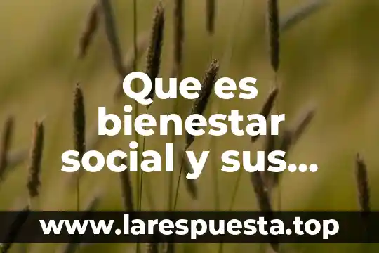 Que es bienestar social y sus programas