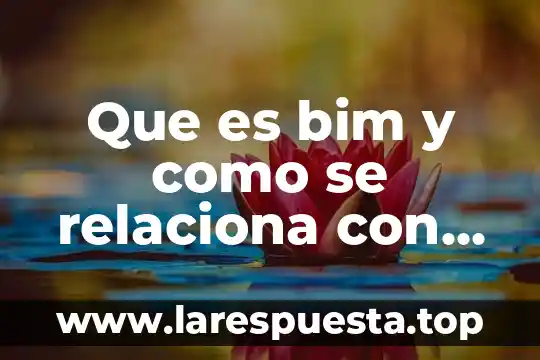 Que es bim y como se relaciona con revit