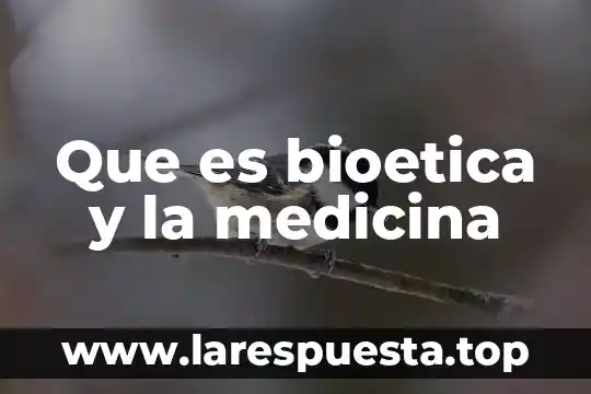 Que es bioetica y la medicina