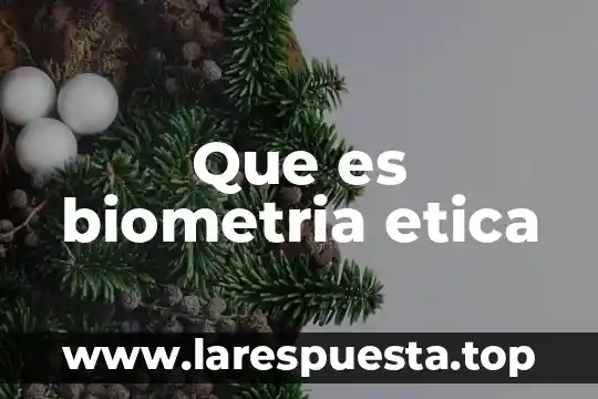 Que es biometria etica