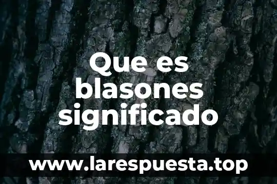 Que es blasones significado