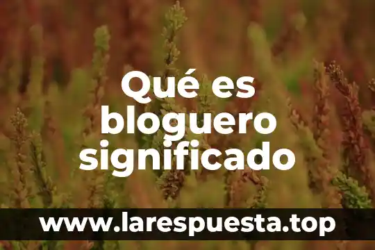 Qué es bloguero significado