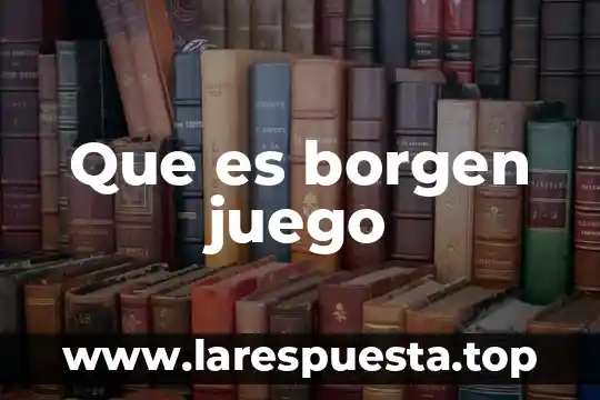 Que es borgen juego