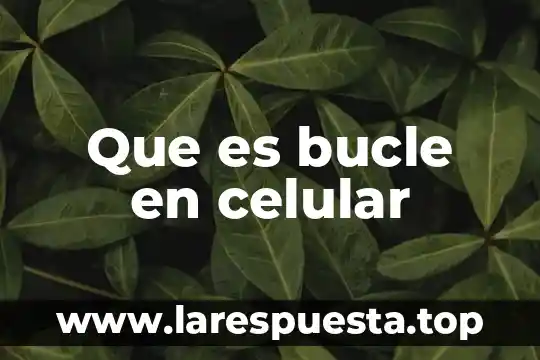 Que es el modo accesibilidad de celular aiwa 5 Que es bucle en celular
