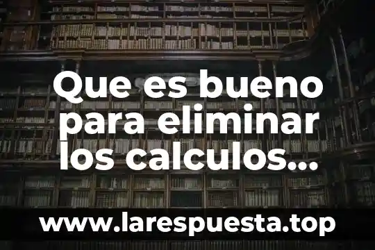 Que es bueno para eliminar los calculos renales