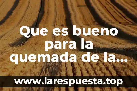 Que es bueno para la quemada de la piel por el sol