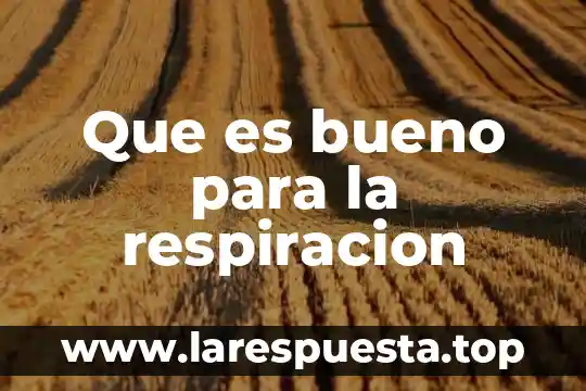 Que es la respiracion natural 8 Que es bueno para la respiracion