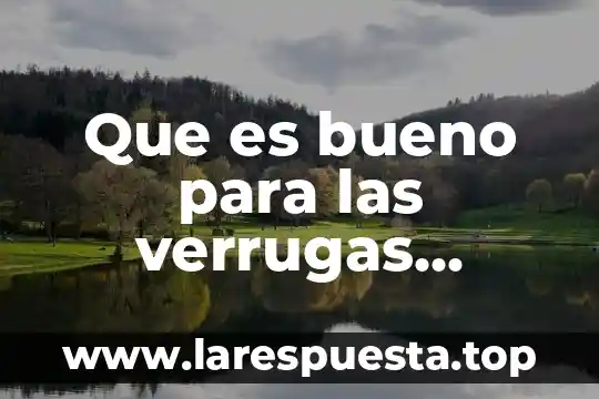 Que es bueno para las verrugas genitales
