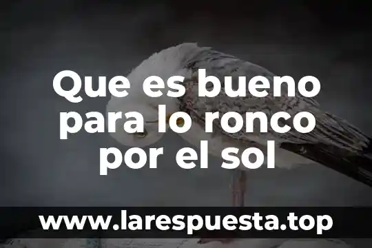 Que es bueno para lo ronco por el sol