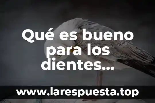 Que es bueno para el dolor de encias y dientes 3 Qué es bueno para los dientes destemplados