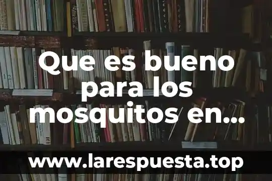 Que es bueno para los mosquitos en la casa