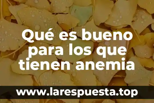 Qué es una anemia en niños 6 Qué es bueno para los que tienen anemia