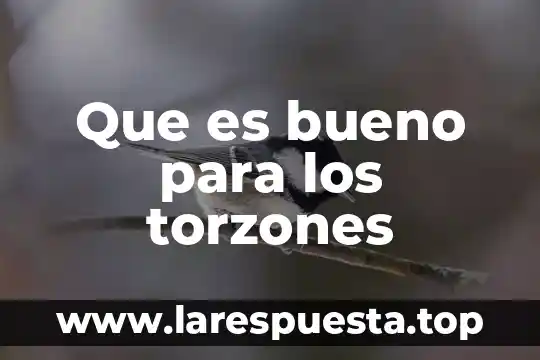 Dengue qué es bueno 7 Que es bueno para los torzones