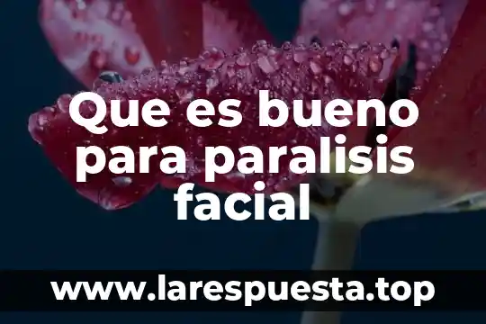 Para que es bueno el agua de hamamelis 4 Que es bueno para paralisis facial