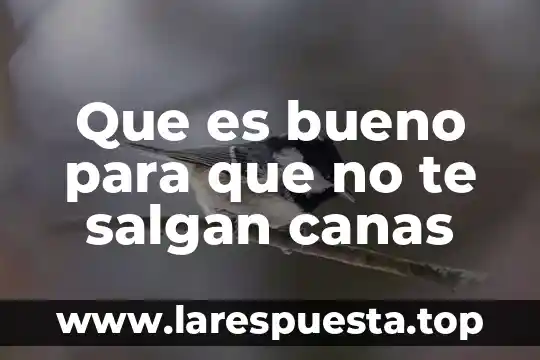 Que es lo que mas te divierte 8 Que es bueno para que no te salgan canas