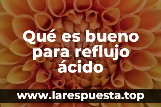 Qué es bueno para reflujo ácido