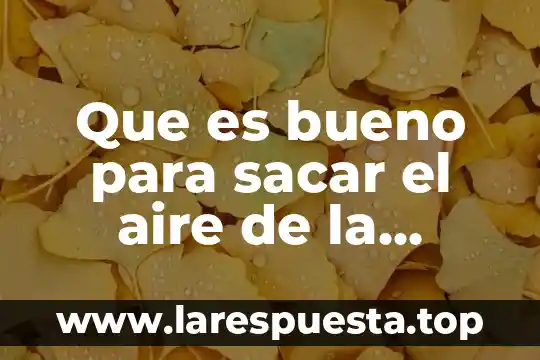 Que es mejor practicar un deporte al aire libre 5 Que es bueno para sacar el aire de la cintura