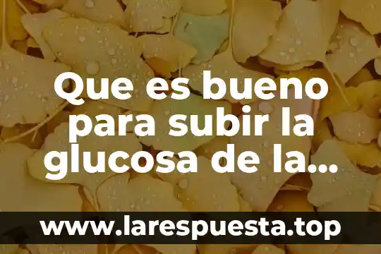 Que es bueno para subir la glucosa de la sangre