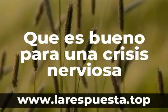 Que es bueno para una crisis nerviosa
