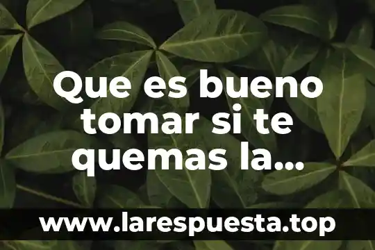 Que es lo que mas te divierte 6 Que es bueno tomar si te quemas la lengua