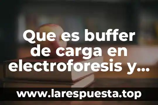 Que es buffer de carga en electroforesis y tipos