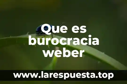 Qué es la supervisión y control 4 Que es burocracia weber