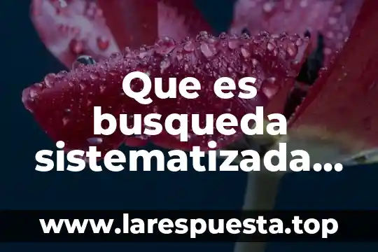 Búsqueda de información en internet que es 5 Que es busqueda sistematizada de informacion