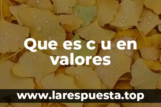 Liquidez de los valores que es 3 Que es c u en valores