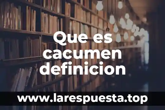 Que es una lista multinivel definicion 5 Que es cacumen definicion
