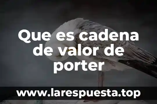 Que es el analisis porter 3 Que es cadena de valor de porter