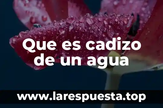 Que es cadizo de un agua