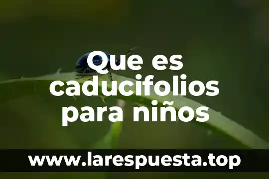 Que es numero de tarjeta bancarian iban 8 Que es caducifolios para niños