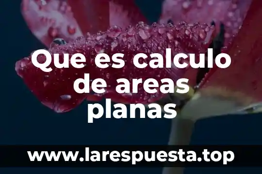Que es el calculo de escalas 8 Que es calculo de areas planas