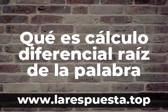 Qué es cálculo diferencial ensayo 3 Qué es cálculo diferencial raíz de la palabra